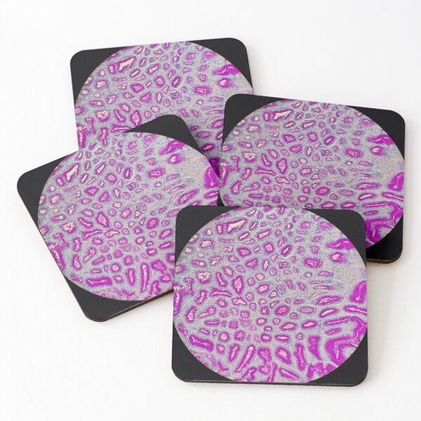 Item preview, Stomach histology, PAS stain, 20x designed and sold by Psymier.