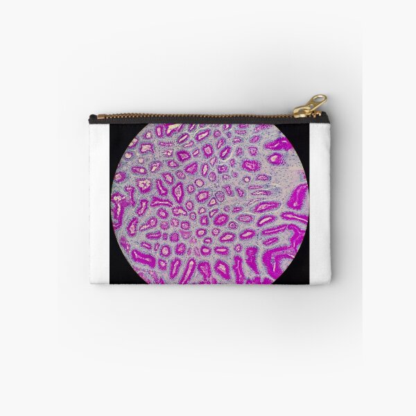 Item preview, Stomach histology, PAS stain, 20x designed and sold by Psymier.
