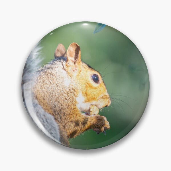 Item preview, Squirrel eating  designed and sold by MarkRame.