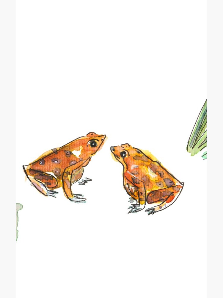 Let's frog about this! by yanak