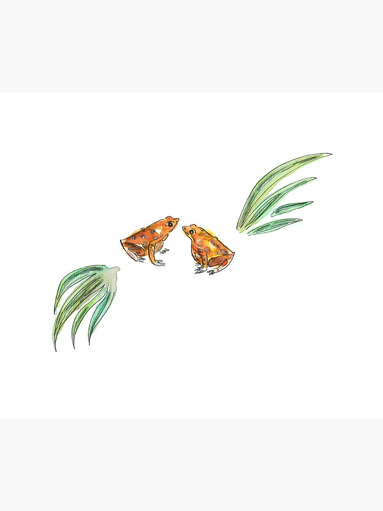 Let's frog about this! by yanak