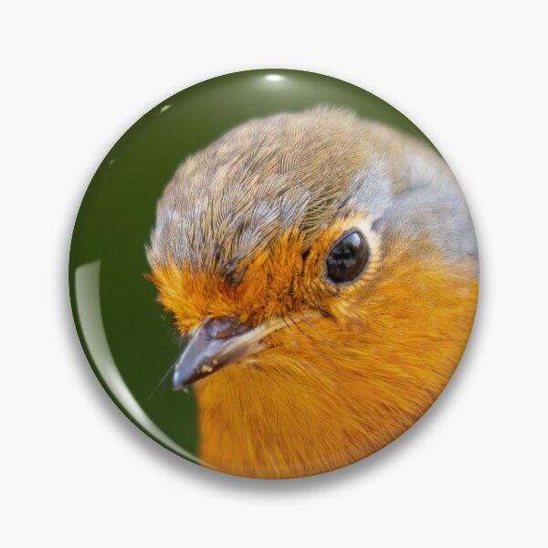 Item preview, Robin Redbreast designed and sold by MarkRame.