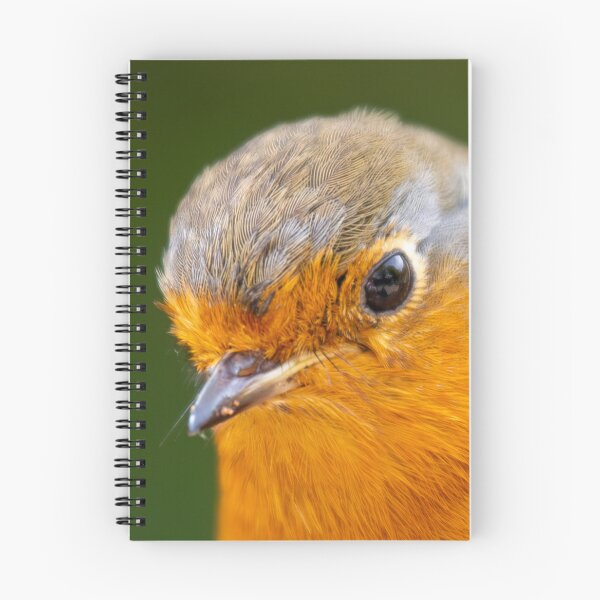 Item preview, Robin Redbreast designed and sold by MarkRame.
