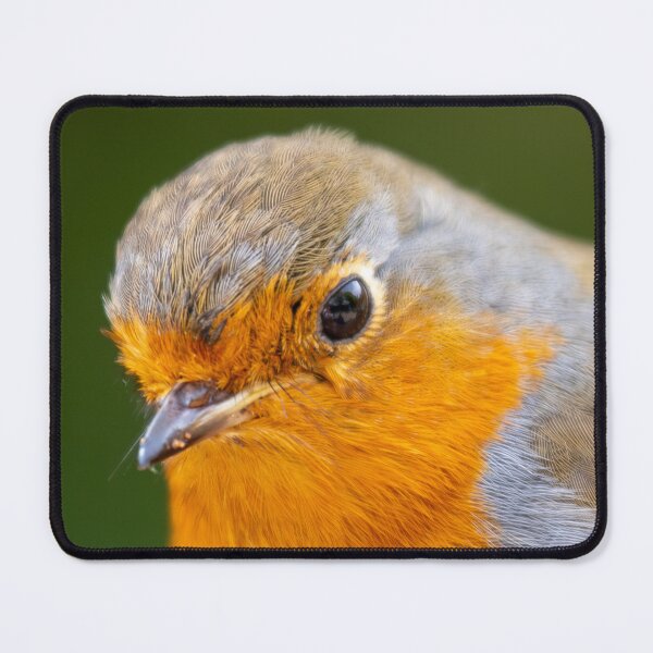 Item preview, Robin Redbreast designed and sold by MarkRame.