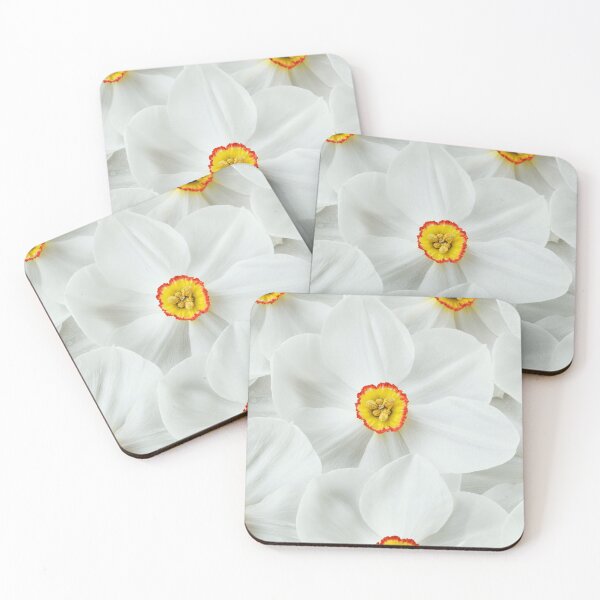 Item preview, Narcissus  'Actaea'  AGM  Division 9 Poeticus  Daffodil  designed and sold by Chris Burrows.
