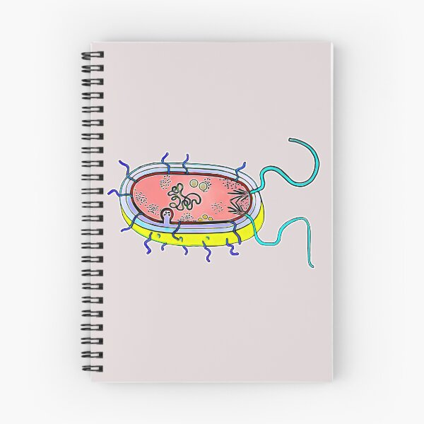 Item preview, Prokaryotic cell designed and sold by AikasHeaven.