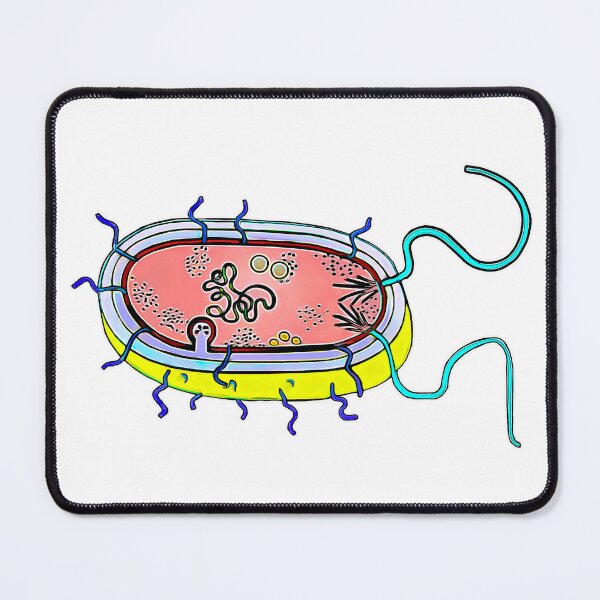 Item preview, Prokaryotic cell designed and sold by AikasHeaven.