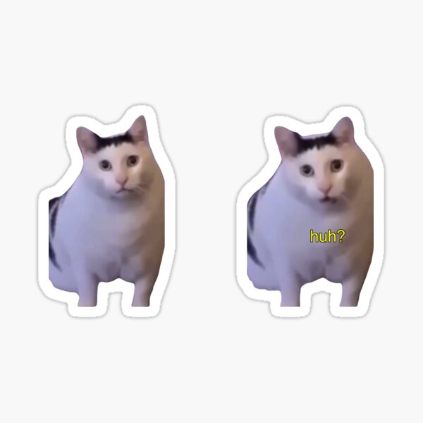 black face cat icon and text meow in the middle and white