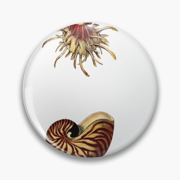Item preview, The Epoch Collection Sea Shells from A conchological manual (1846) designed and sold by Coastal Garden Design Studio.