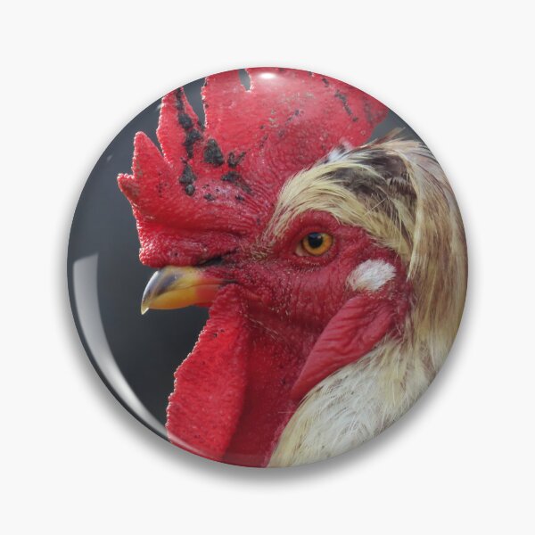 Item preview, Rooster portrait designed and sold by WildEncounters.
