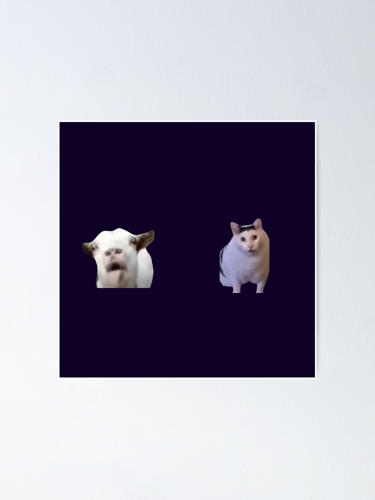 cats icon meme｜TikTok Search