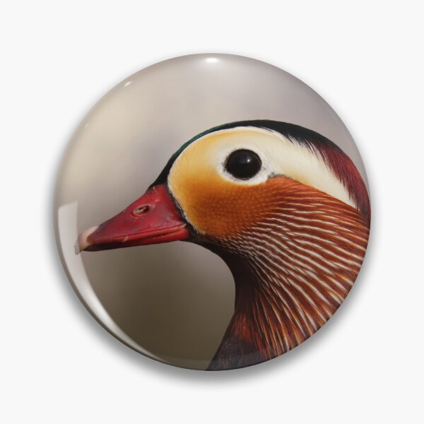 Item preview, Fabulous mandarine duck designed and sold by WildEncounters.