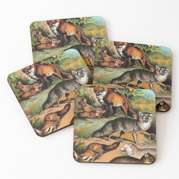Item preview, Common Fox - Arctic Fox - Blue Fox - Silver Fox - Vintage Chromolithograph by Hugh Craig Animal Lovers Gift designed and sold by ElegantTeaTime.