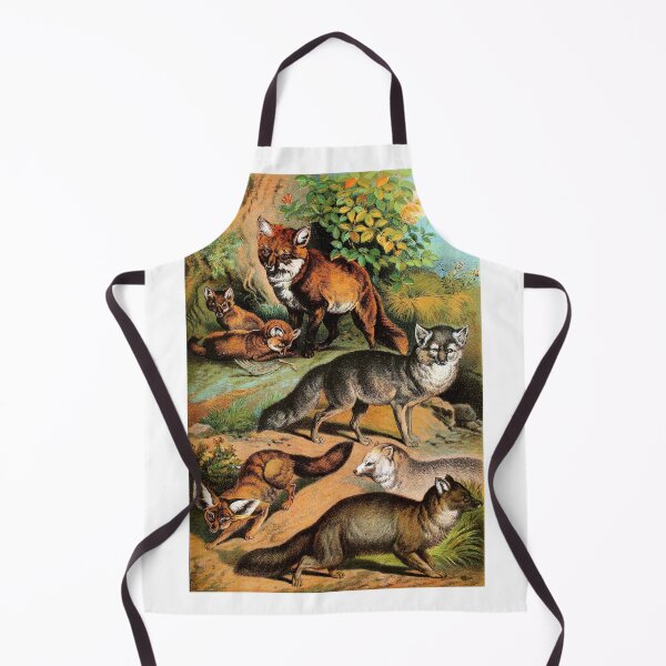 Item preview, Common Fox - Arctic Fox - Blue Fox - Silver Fox - Vintage Chromolithograph by Hugh Craig Animal Lovers Gift designed and sold by ElegantTeaTime.