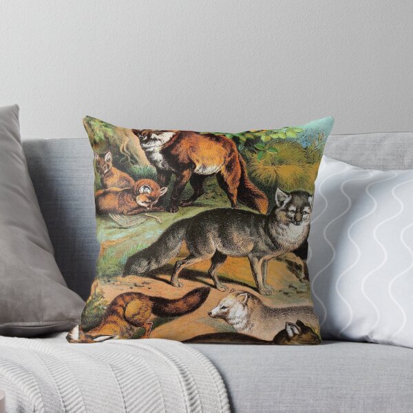 Item preview, Common Fox - Arctic Fox - Blue Fox - Silver Fox - Vintage Chromolithograph by Hugh Craig Animal Lovers Gift designed and sold by ElegantTeaTime.