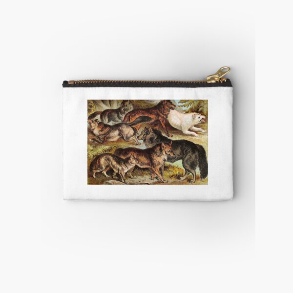 Item preview, Wolves Jackals Coyotes Vintage Chromolithograph by Hugh Craig Animal Lovers Gift designed and sold by ElegantTeaTime.