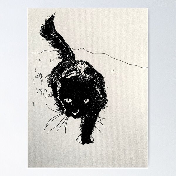 Black fluffy cat in snow Poster