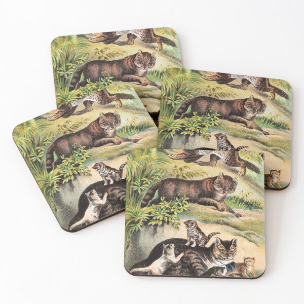 Item preview, Chinese Cat - Malay Cat - Common Cat - Kittens - Vintage Chromolithograph by Hugh Craig Animal Lovers Gift designed and sold by ElegantTeaTime.