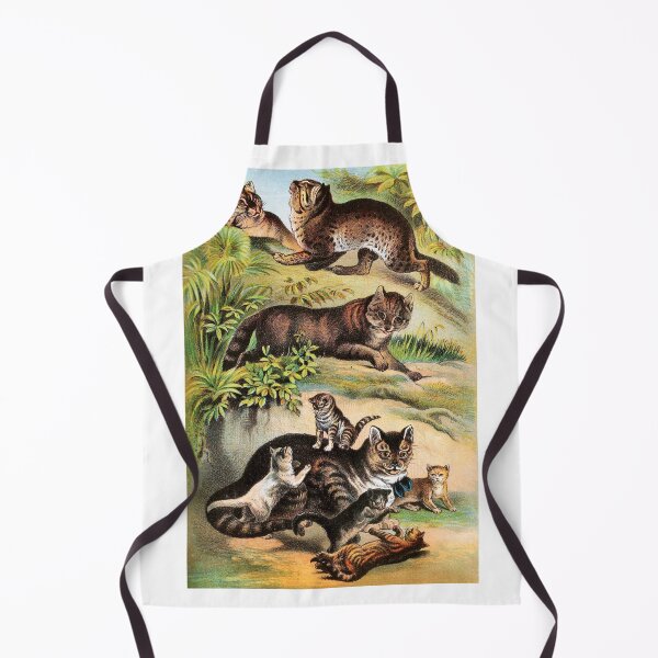 Item preview, Chinese Cat - Malay Cat - Common Cat - Kittens - Vintage Chromolithograph by Hugh Craig Animal Lovers Gift designed and sold by ElegantTeaTime.
