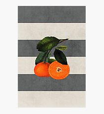 botanical stripes 6 Photographic Print