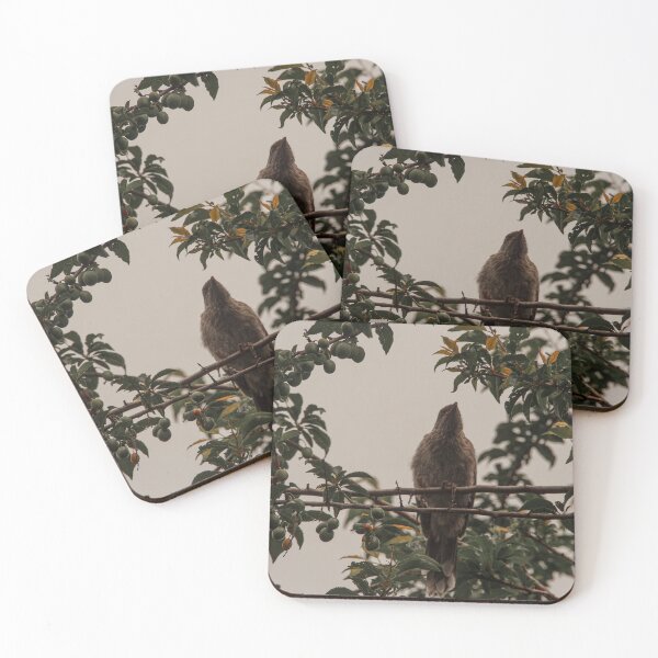 Item preview, Australian Wattlebird designed and sold by Kellie Smith.