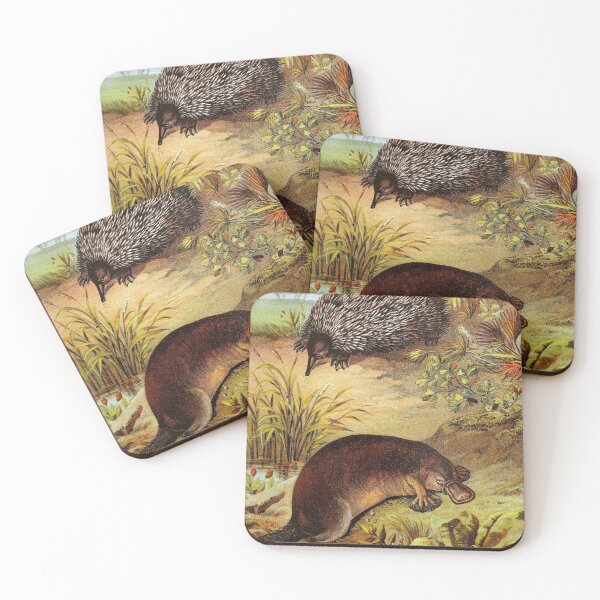 Item preview, Platypus and Echidna by Water Vintage Chromolithograph by Hugh Craig Animal Lovers Gift designed and sold by ElegantTeaTime.