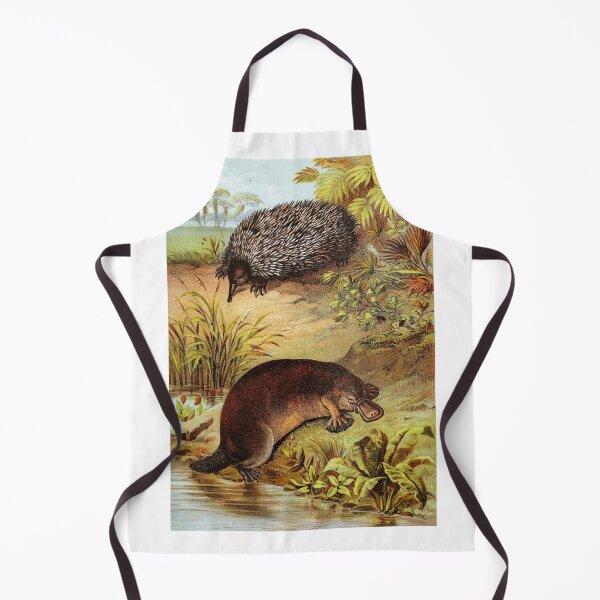 Item preview, Platypus and Echidna by Water Vintage Chromolithograph by Hugh Craig Animal Lovers Gift designed and sold by ElegantTeaTime.