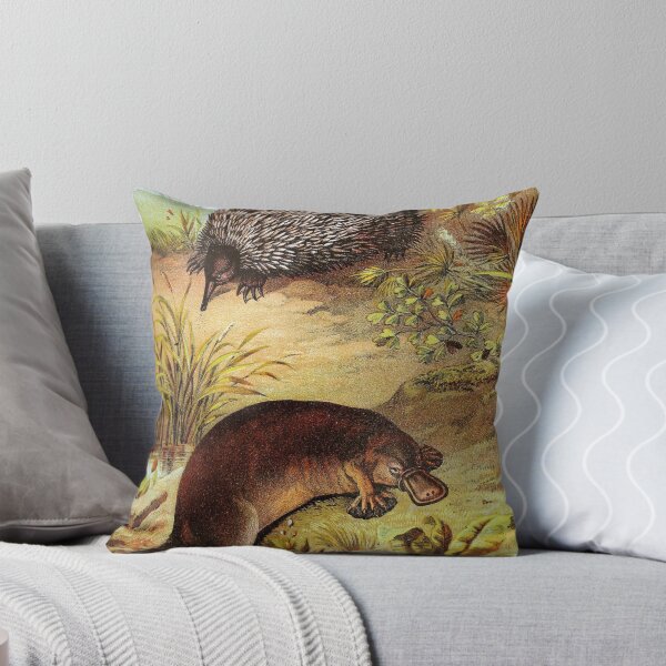 Item preview, Platypus and Echidna by Water Vintage Chromolithograph by Hugh Craig Animal Lovers Gift designed and sold by ElegantTeaTime.