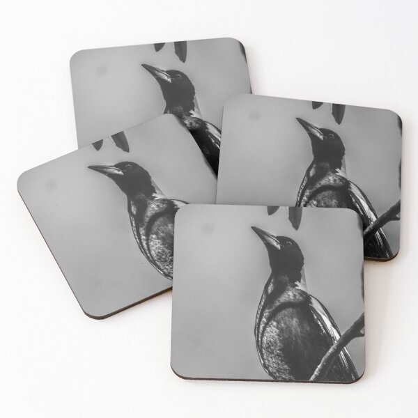 Item preview, Australian Swooping Magpie designed and sold by Kellie Smith.