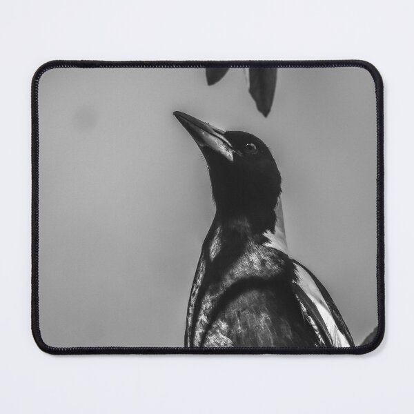 Item preview, Australian Swooping Magpie designed and sold by Kellie Smith.