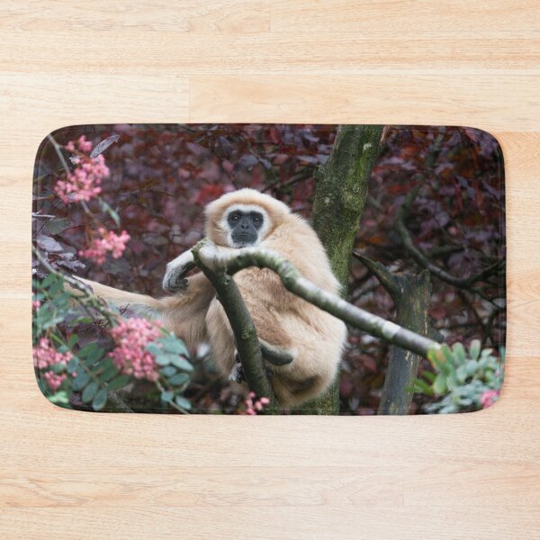 Item preview, Lar Gibbon's Scarlet Retreat designed and sold by rawshutterbug.