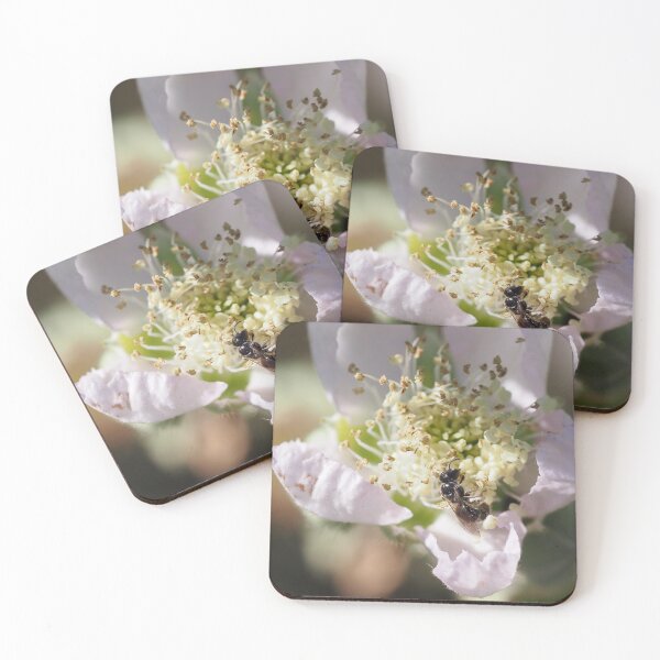 Item preview, Wild bee on bramble flower designed and sold by Syr'photographies.