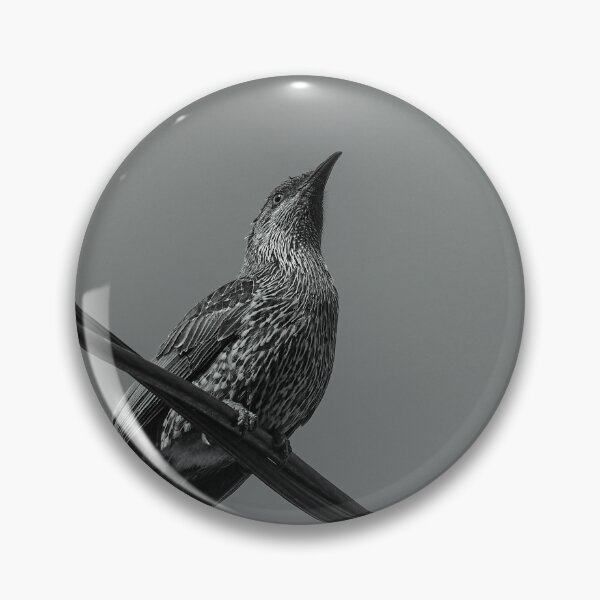 Item preview, Australian Wattlebird designed and sold by Kellie Smith.