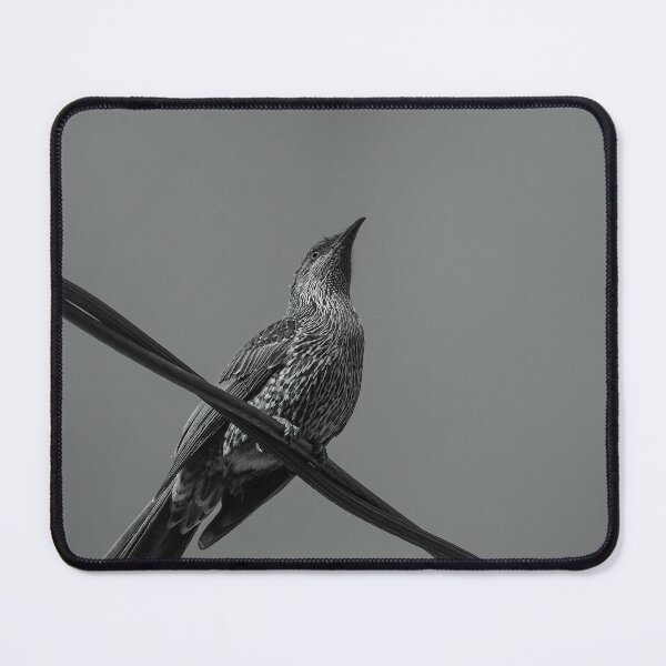 Item preview, Australian Wattlebird designed and sold by Kellie Smith.