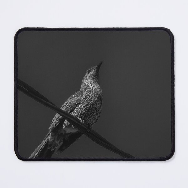 Item preview, Australian Wattlebird designed and sold by Kellie Smith.