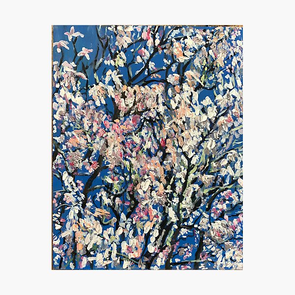 Magnolia tree blossom dancing Photographic Print