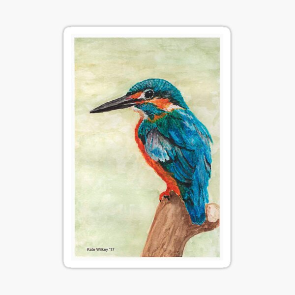 Kingfisher Sticker
