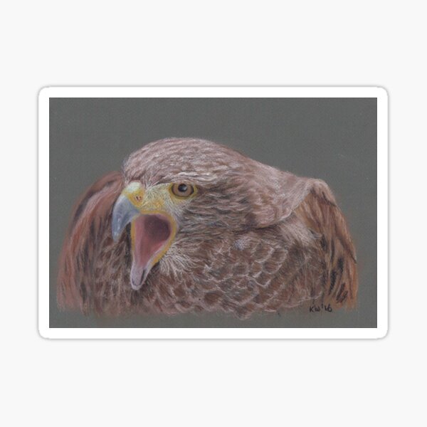 Buzzard Sticker