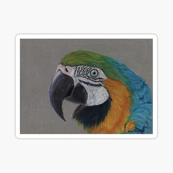 Macaw Sticker