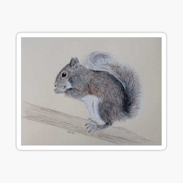 Squirrel Sticker