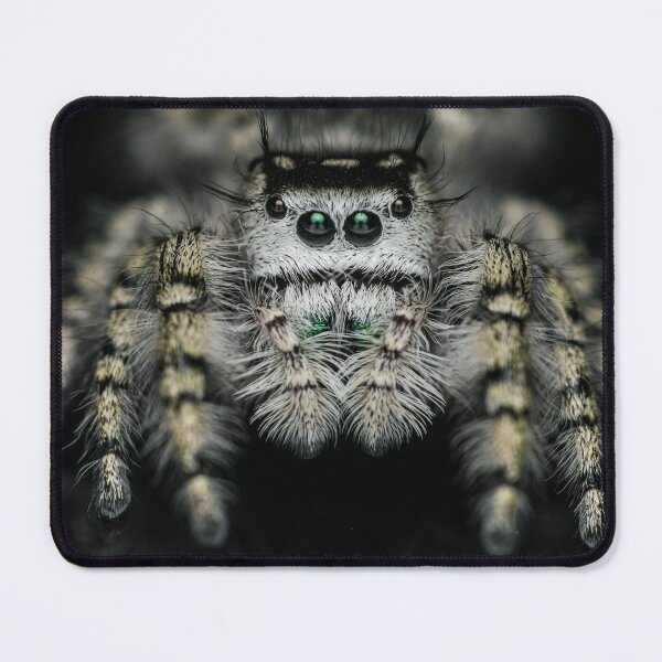 Item preview, Jumping Spider (Phidippus otiosus)  designed and sold by All Bugs Go to Kevin.