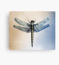 Dragonfly Canvas Print