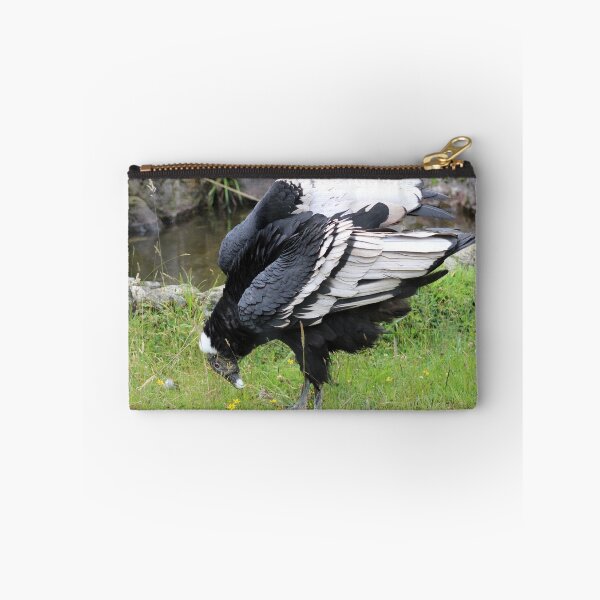 Item preview, Female Andean Condor designed and sold by rhamm.