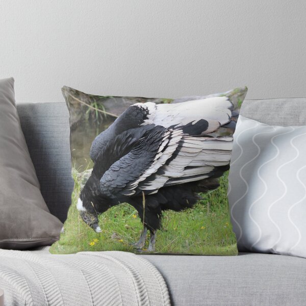 Item preview, Female Andean Condor designed and sold by rhamm.