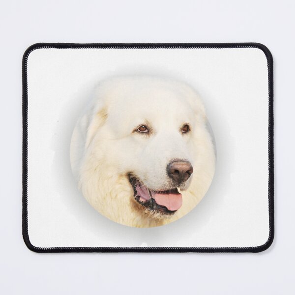 Item preview, Head of the white Pyrenean mountain dog designed and sold by Schubbels-Tiere.