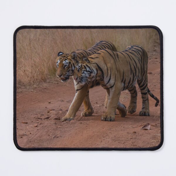 Item preview, Bengal Tigers designed and sold by Kevin Tappenden.