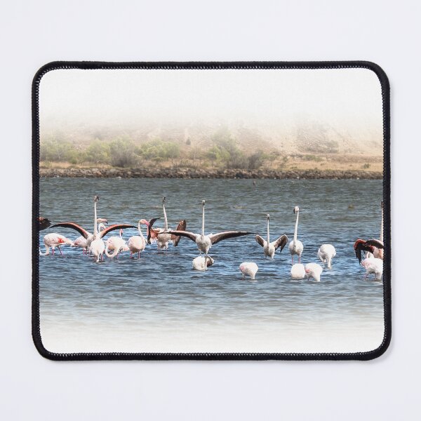 Item preview, Flamingos Peyriac-de-Mer designed and sold by Jim Key.