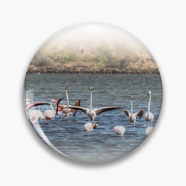 Item preview, Flamingos  Peyriac-de-Mer designed and sold by Jim Key.