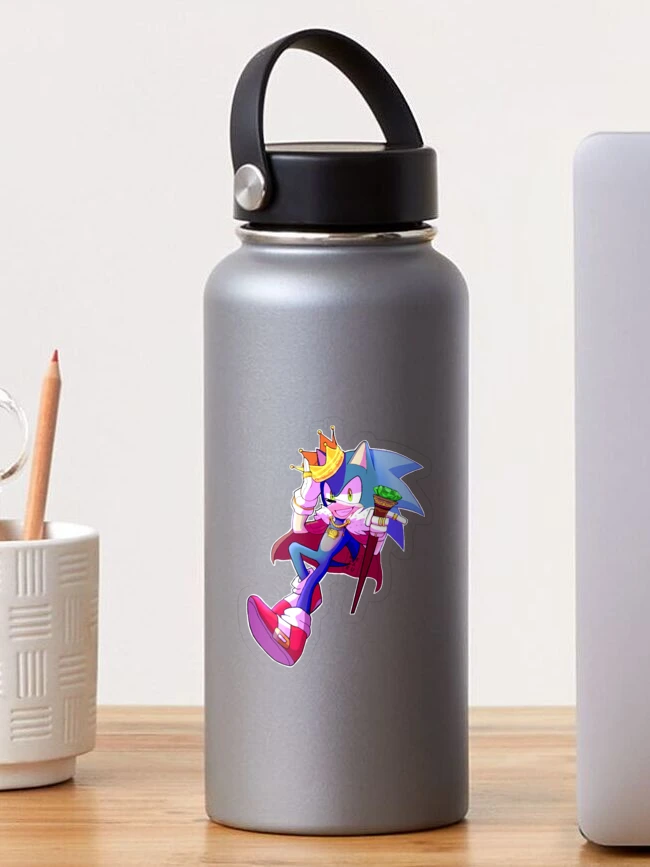 Numskull games Sonic The Hedgehog 30Th Anniversary Water Bottle