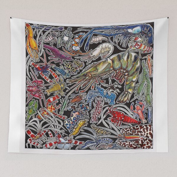 Item preview, Prawns, gambas and shrimps for ocean lovers, marine biologists and scuba divers designed and sold by chloeyzoard.